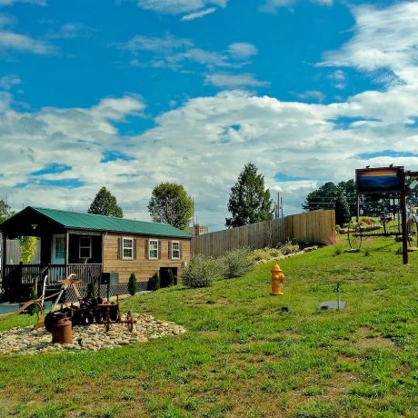 grassy area with cabin